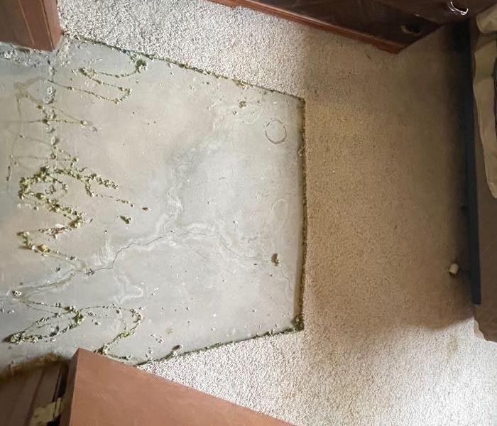 Carpet removed