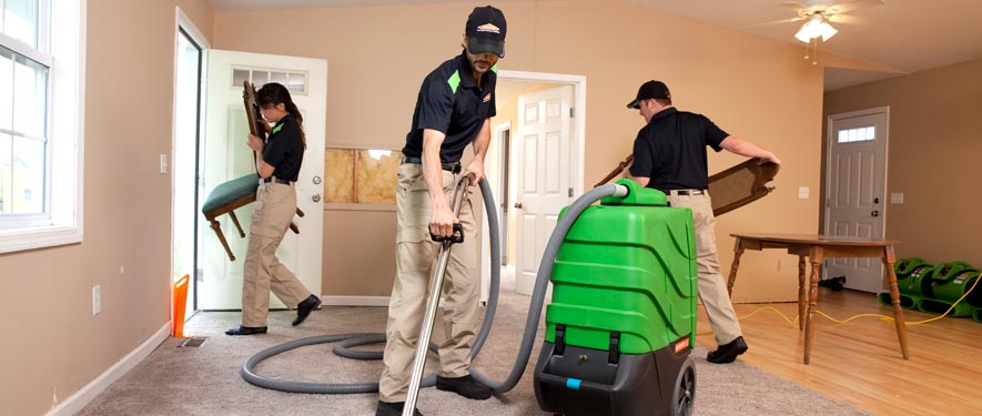 Pagoda, CO cleaning services